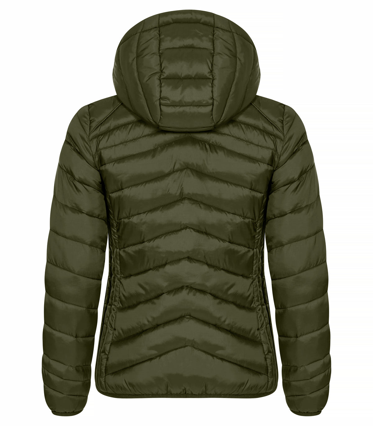 Clique Idaho – dame – Tåkegrønn – bakside
