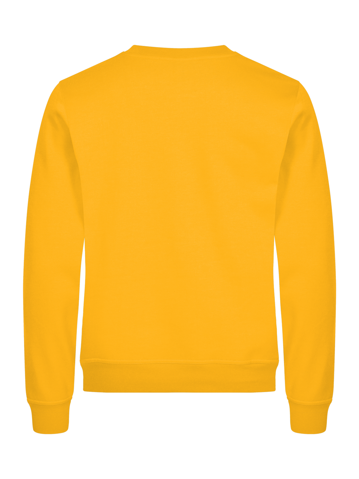 Clique Miami Roundneck – Sitrongul – bakside