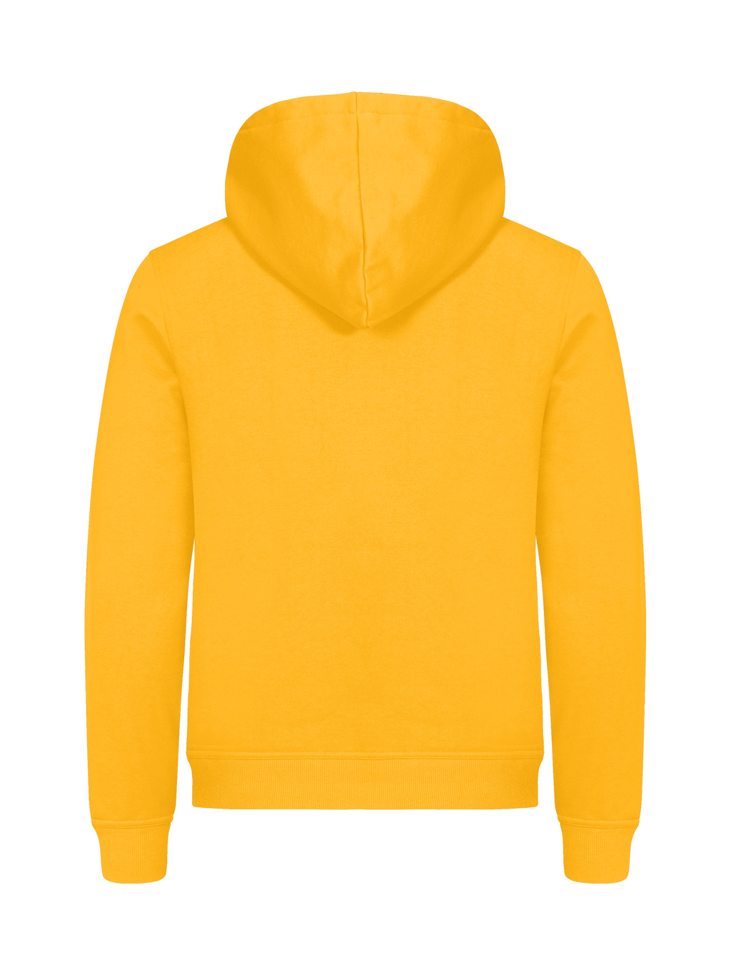 Clique Miami Hoody – Sitrongul – bakside