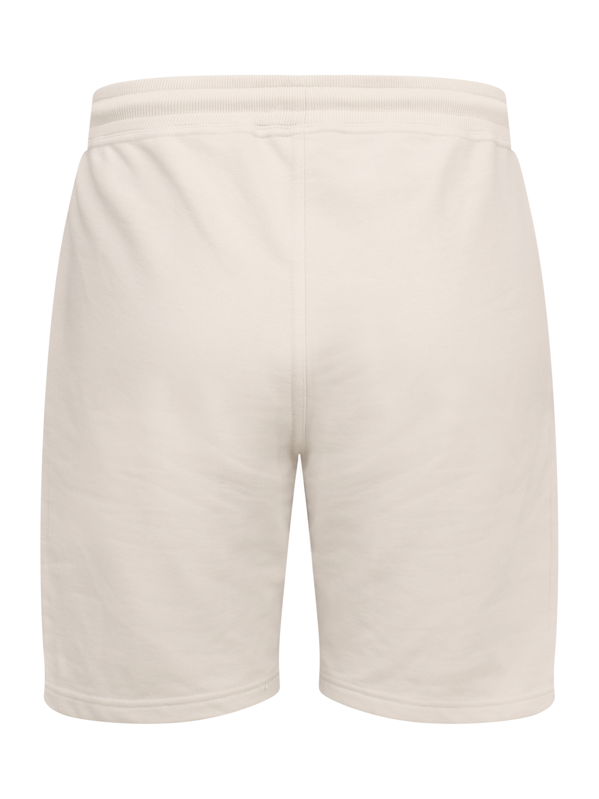 Clique Miami PRO Shorts – Stein – bakside