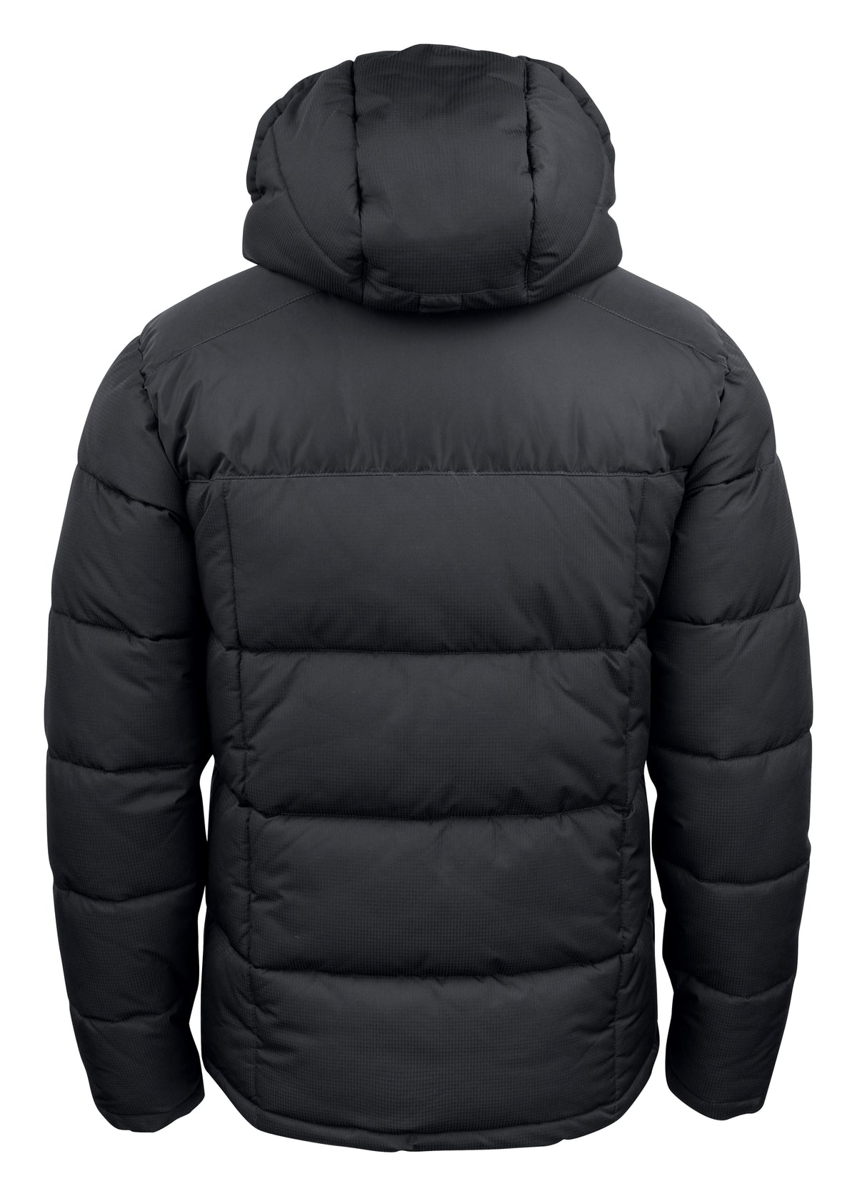 Clique Colorado – Svart – bakside