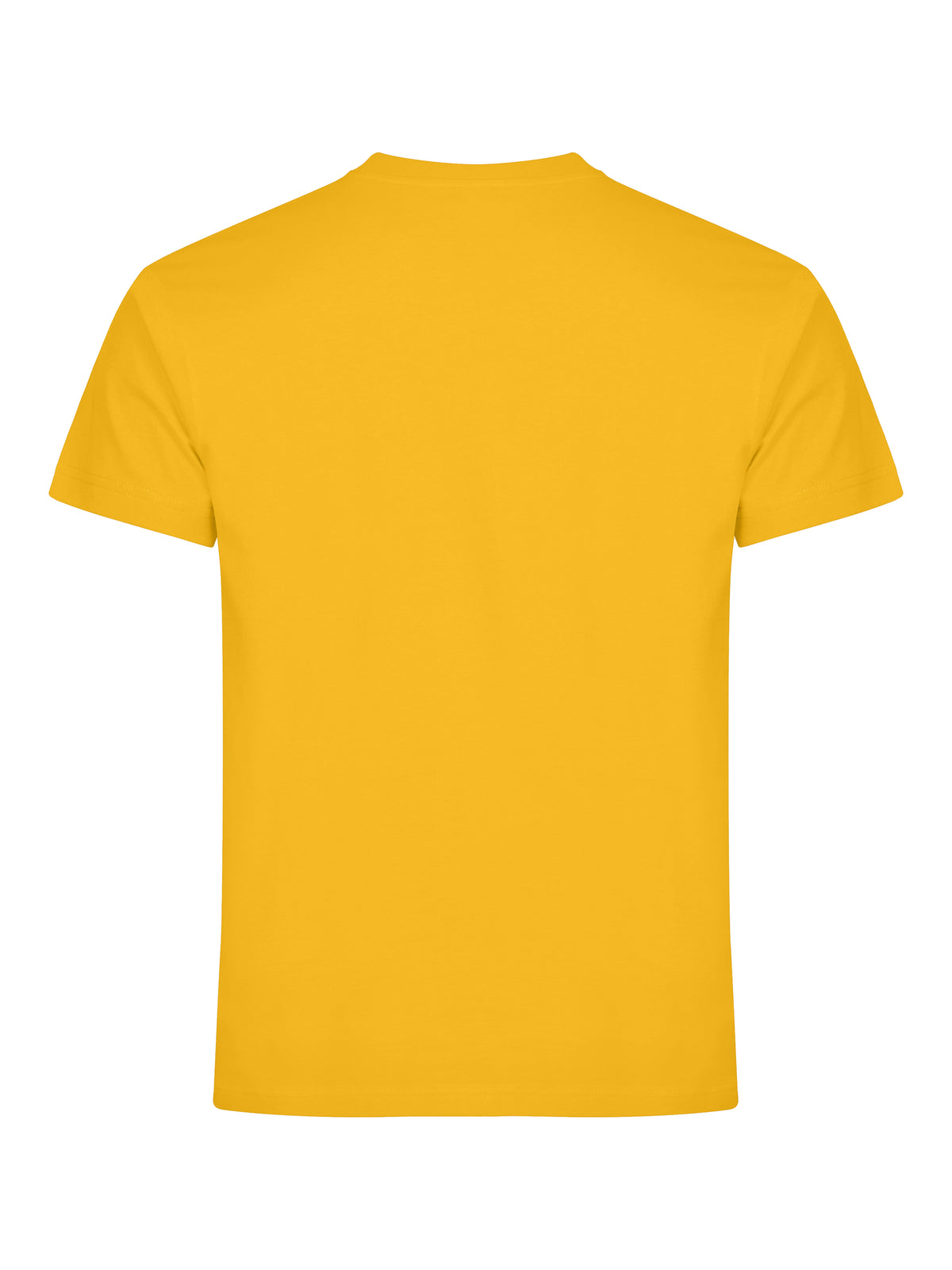 Clique Basic-T – Sitrongul – bakside