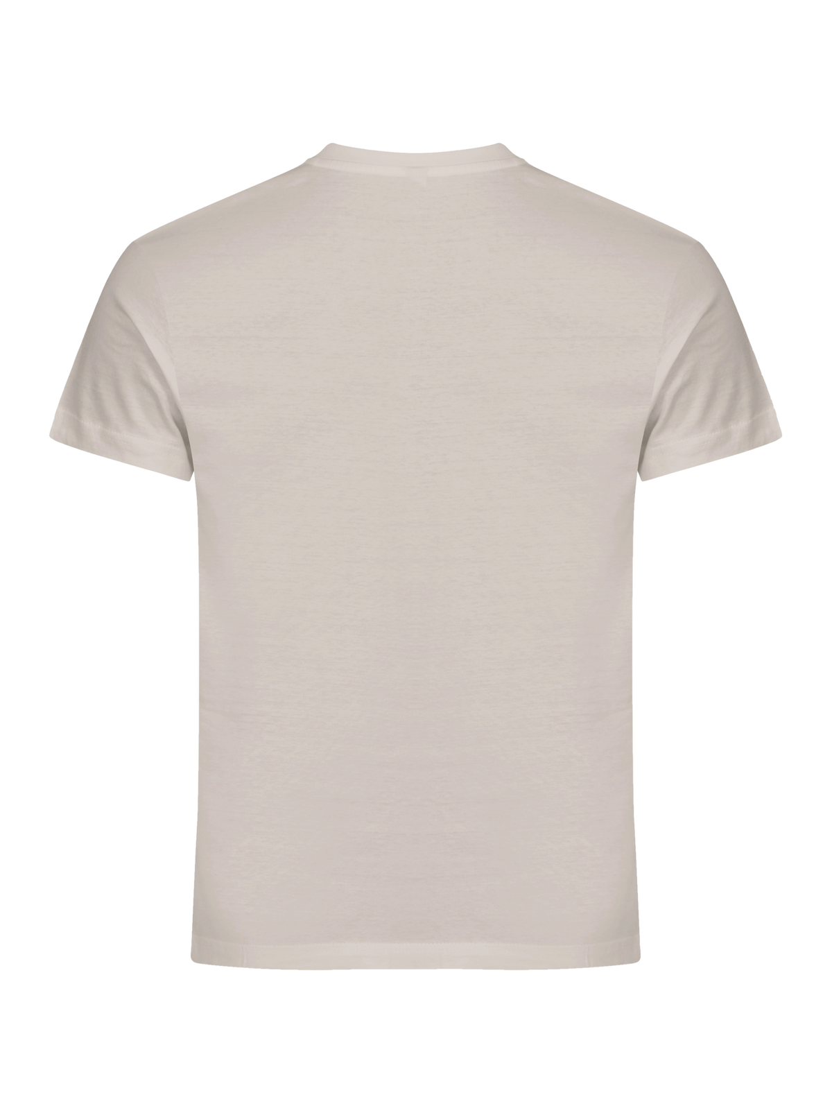 Clique Basic-T – Stein – bakside