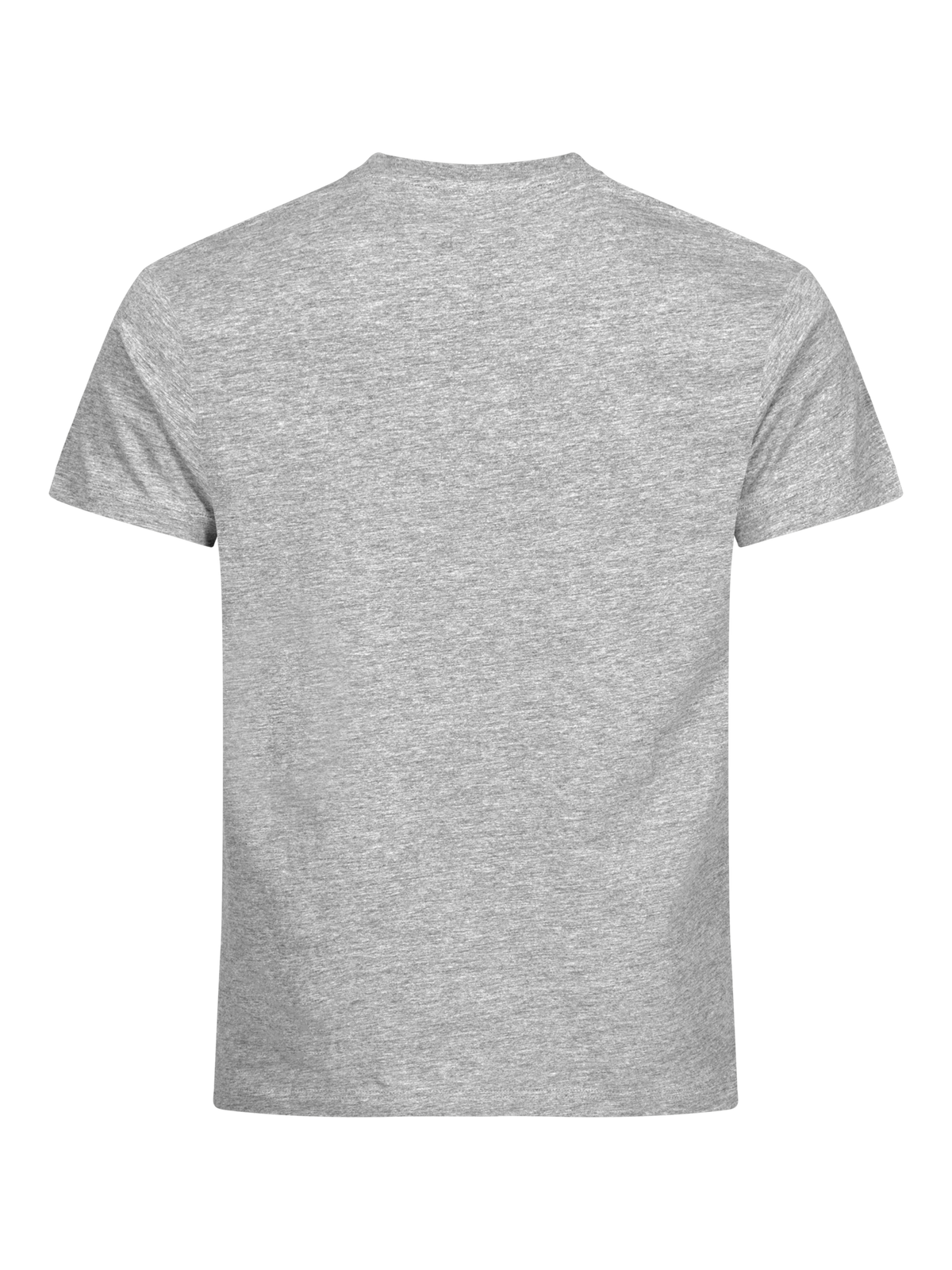 Clique Basic-T – Askegrå – bakside